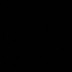 Meet your Posher, Corey